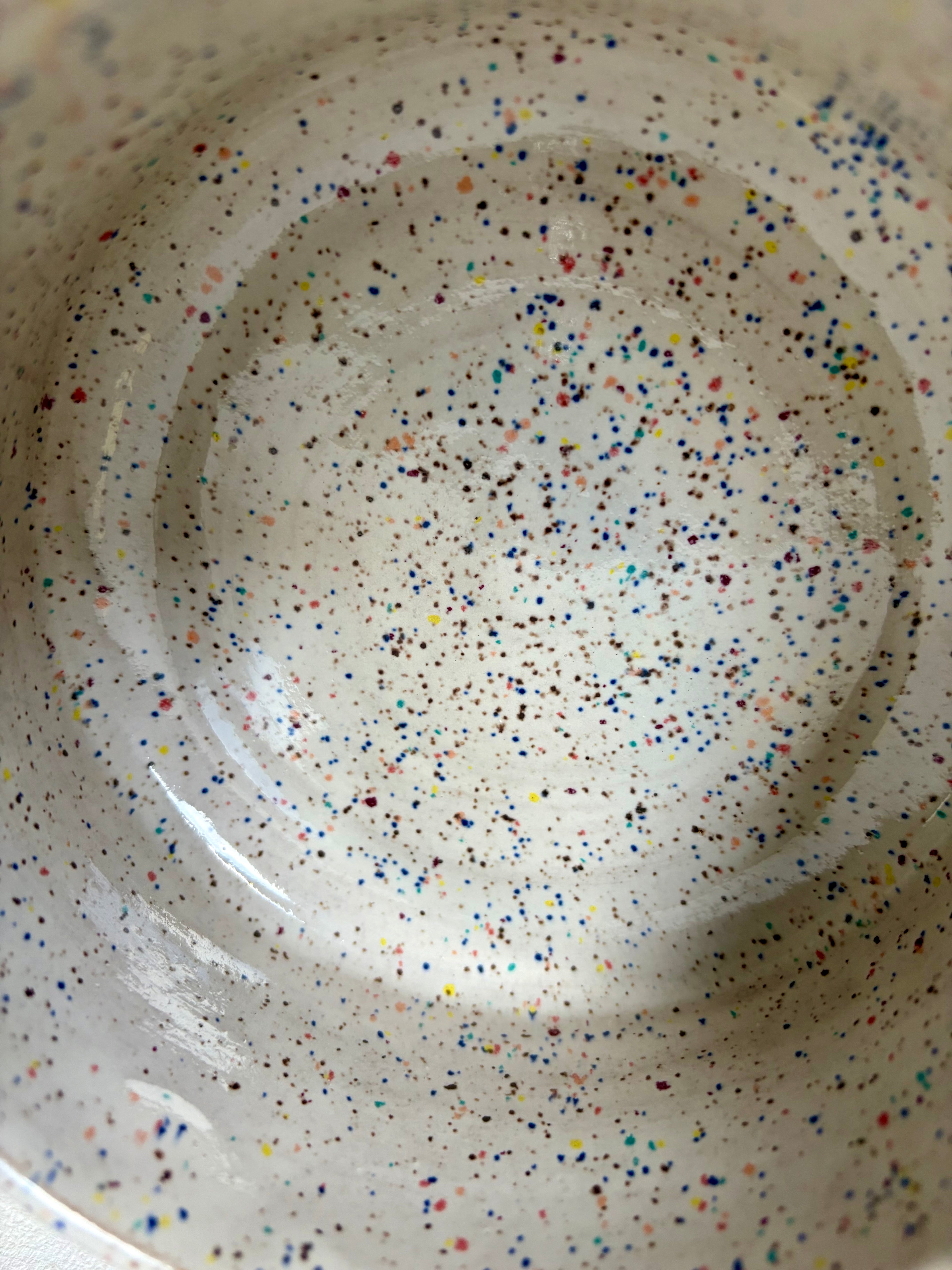 Dip Shit Bowl - Funfetti