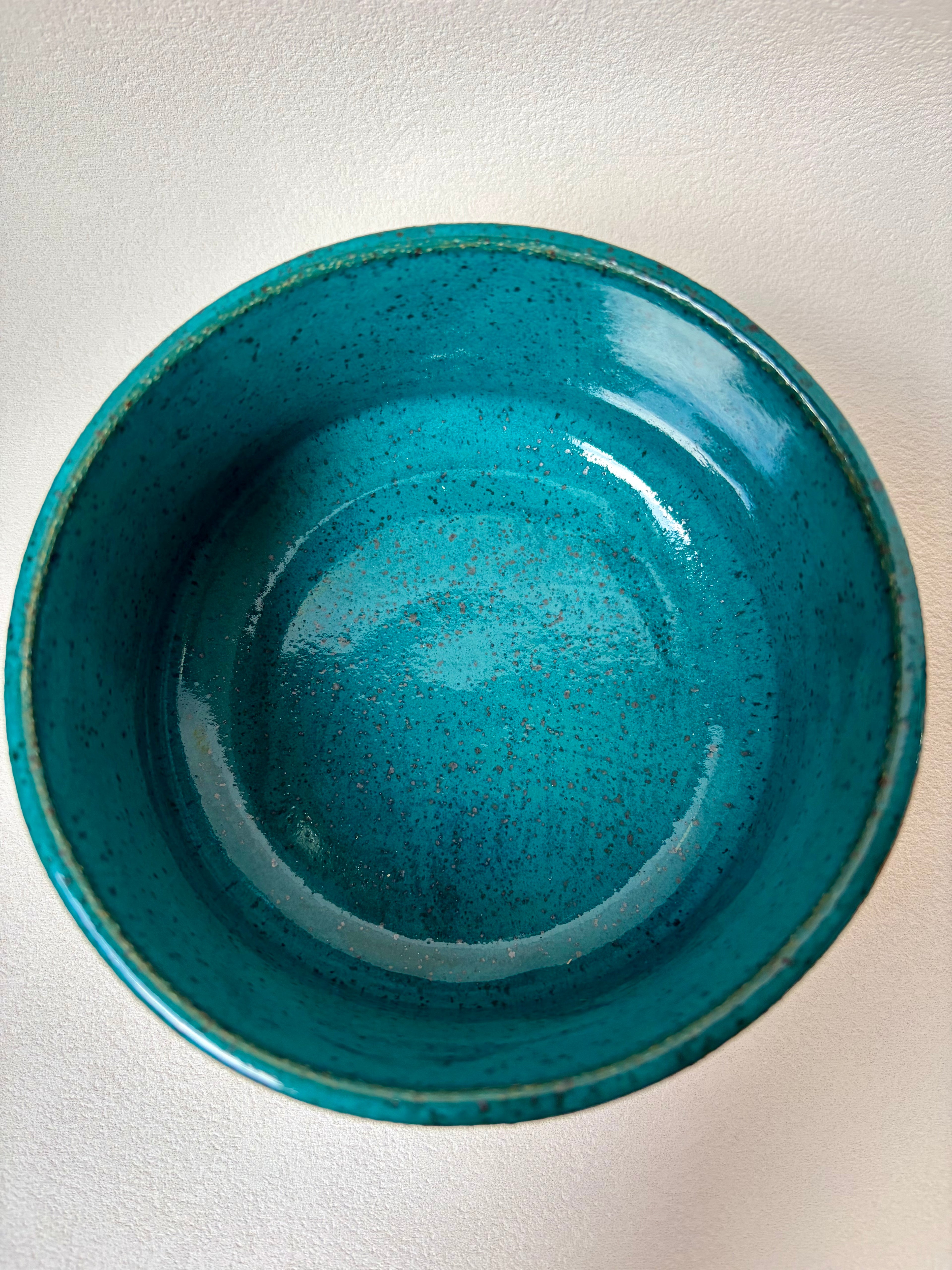Dip Shit Bowl - Turquoise