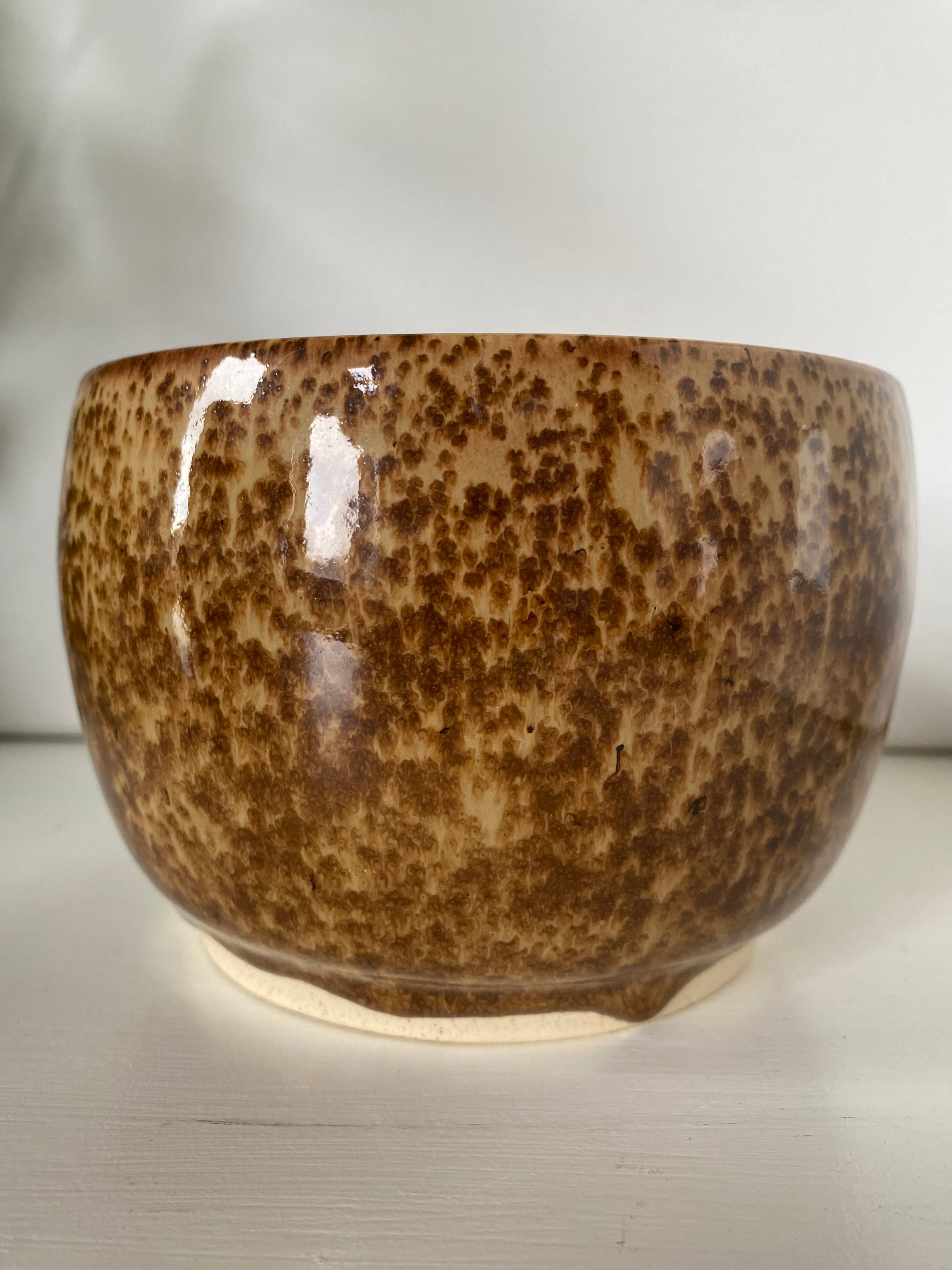 Garlic Grater Salad Bowl