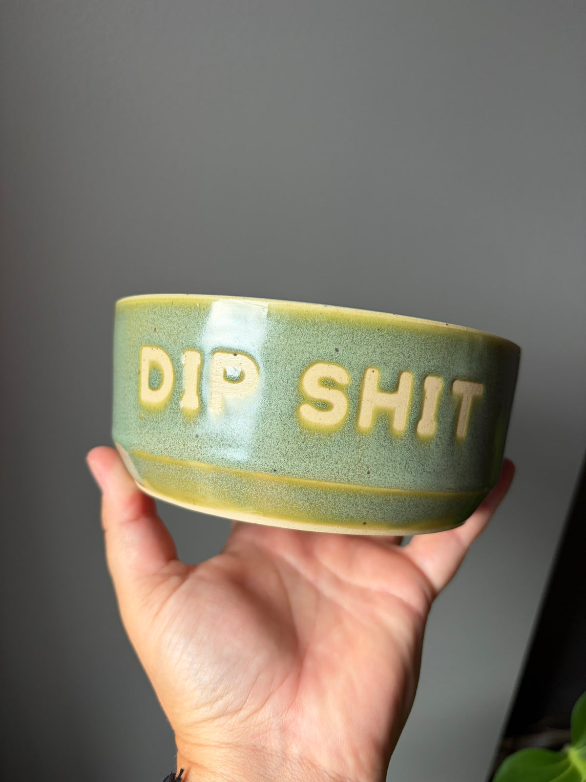 Dip Shit Bowl - PREORDER